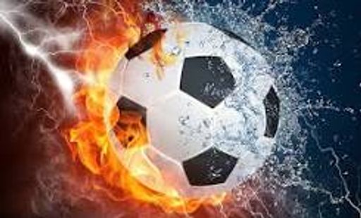 The Fifa Company profile